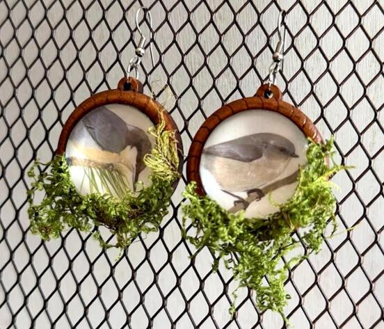 Bushtit & Pygmy Nuthatch | 1.5" long