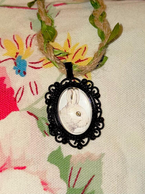 indoor / soft lighting closeup